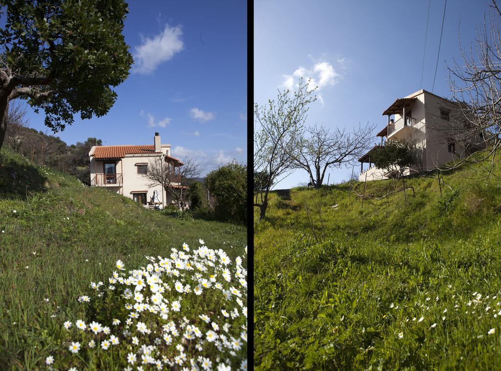 Aori Hillside Villa Kántanos 외부 사진
