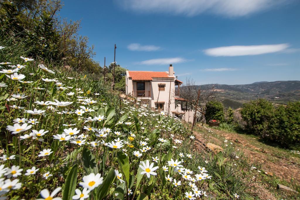 Aori Hillside Villa Kántanos 외부 사진